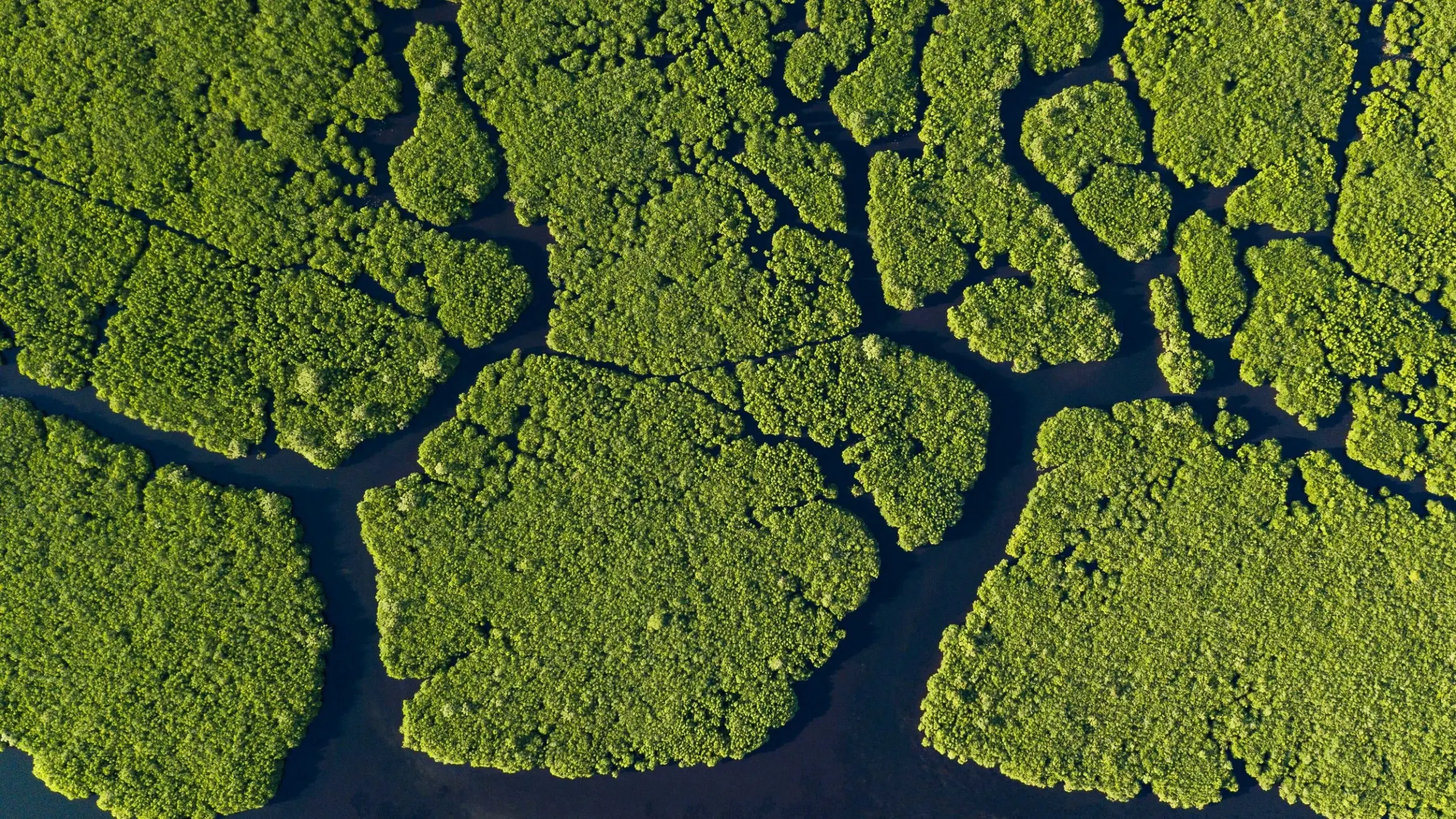 Aidan_Lincoln_Fowler_Drone_Aerial_Photography_Philippines_Siargao_3
