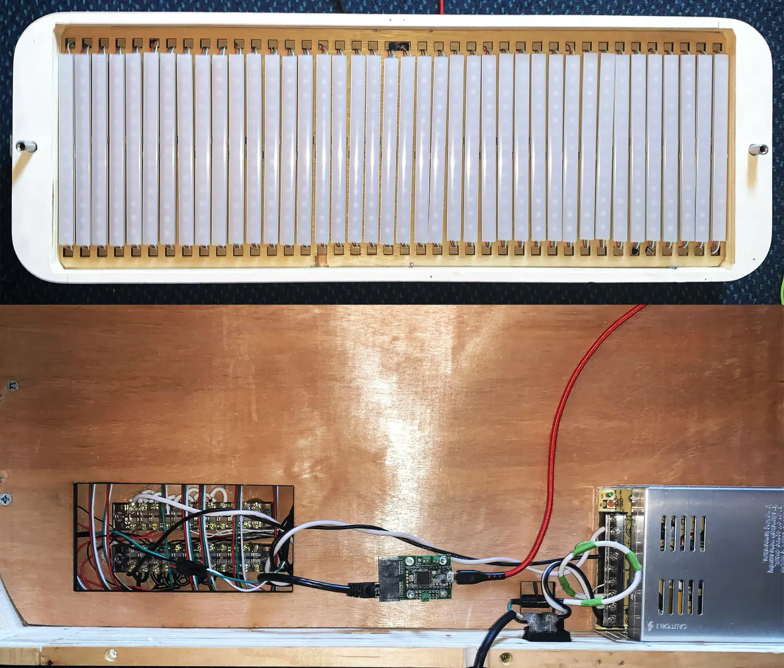 Insides of enclosure.