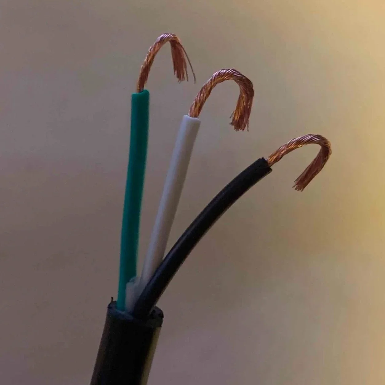 Strip outside tube, strip each wire, twist wires into half loop.